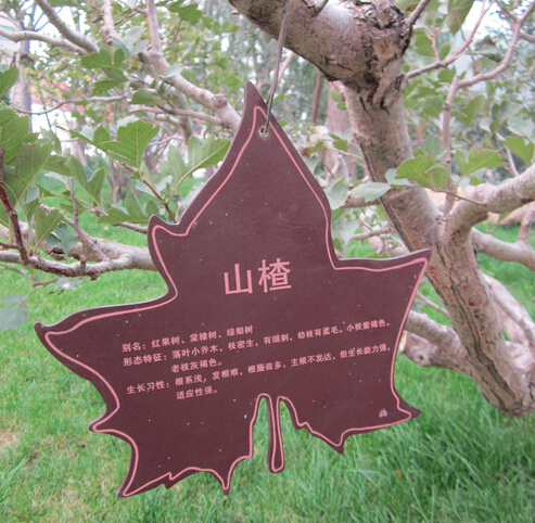 点击图片，可查看该商品详细信息